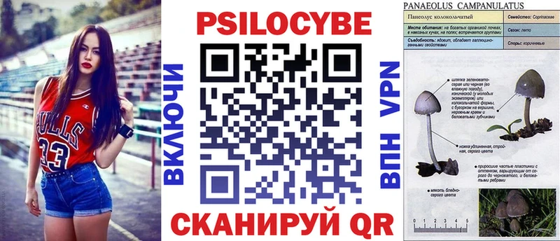 что такое   Дмитриев  Галлюциногенные грибы ЛСД 